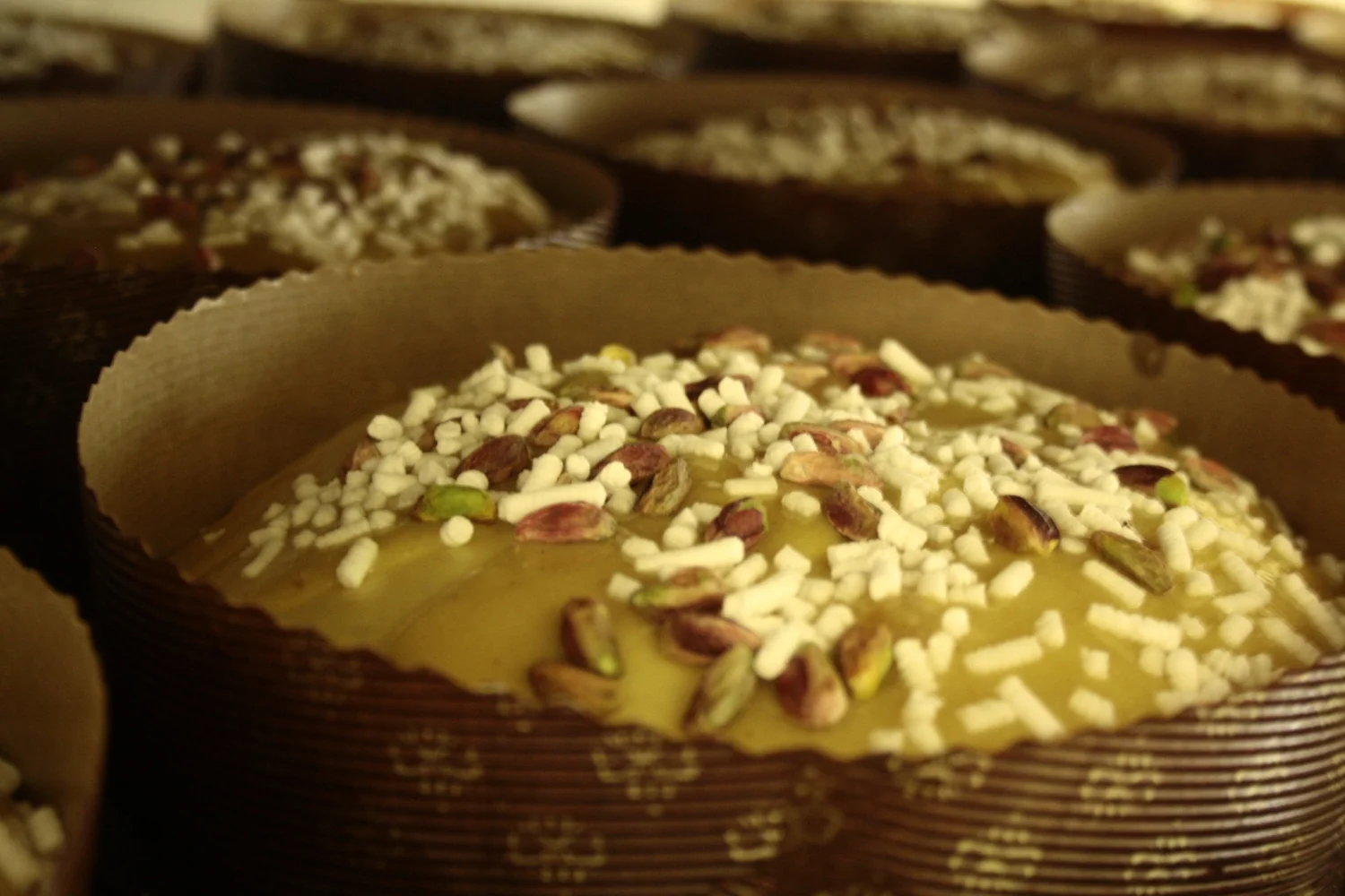 Panettone-Teig in Papierformen während der Ruhephase